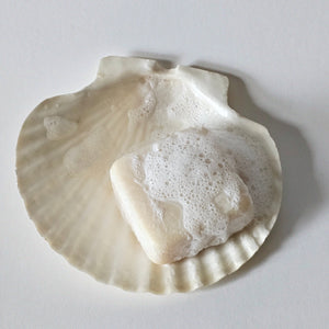 Bar of cosbe solid vegan shampoo made from grapes with foam on a seashell against a light background