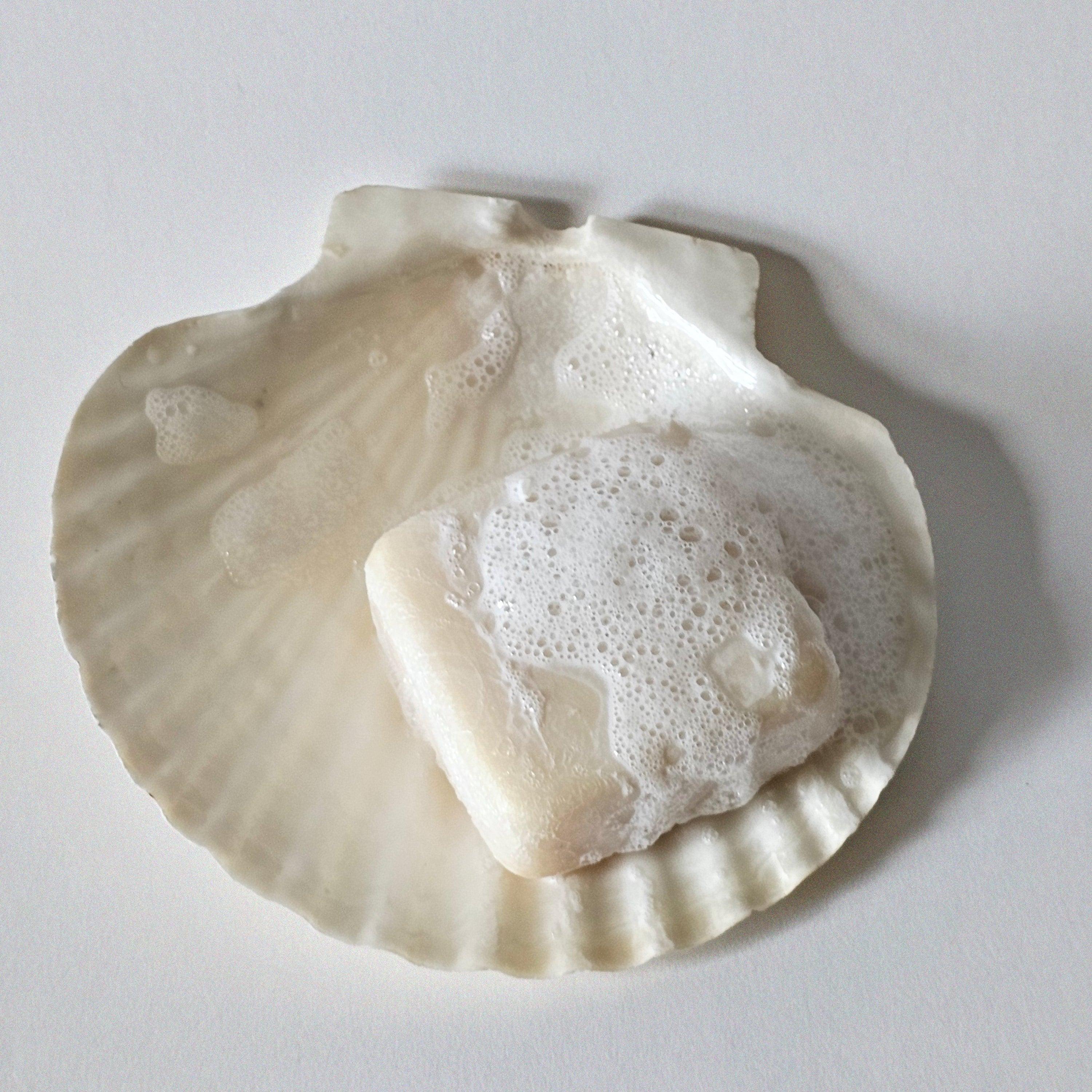 Bar of cosbe solid vegan shampoo made from grapes with foam on a seashell against a light background