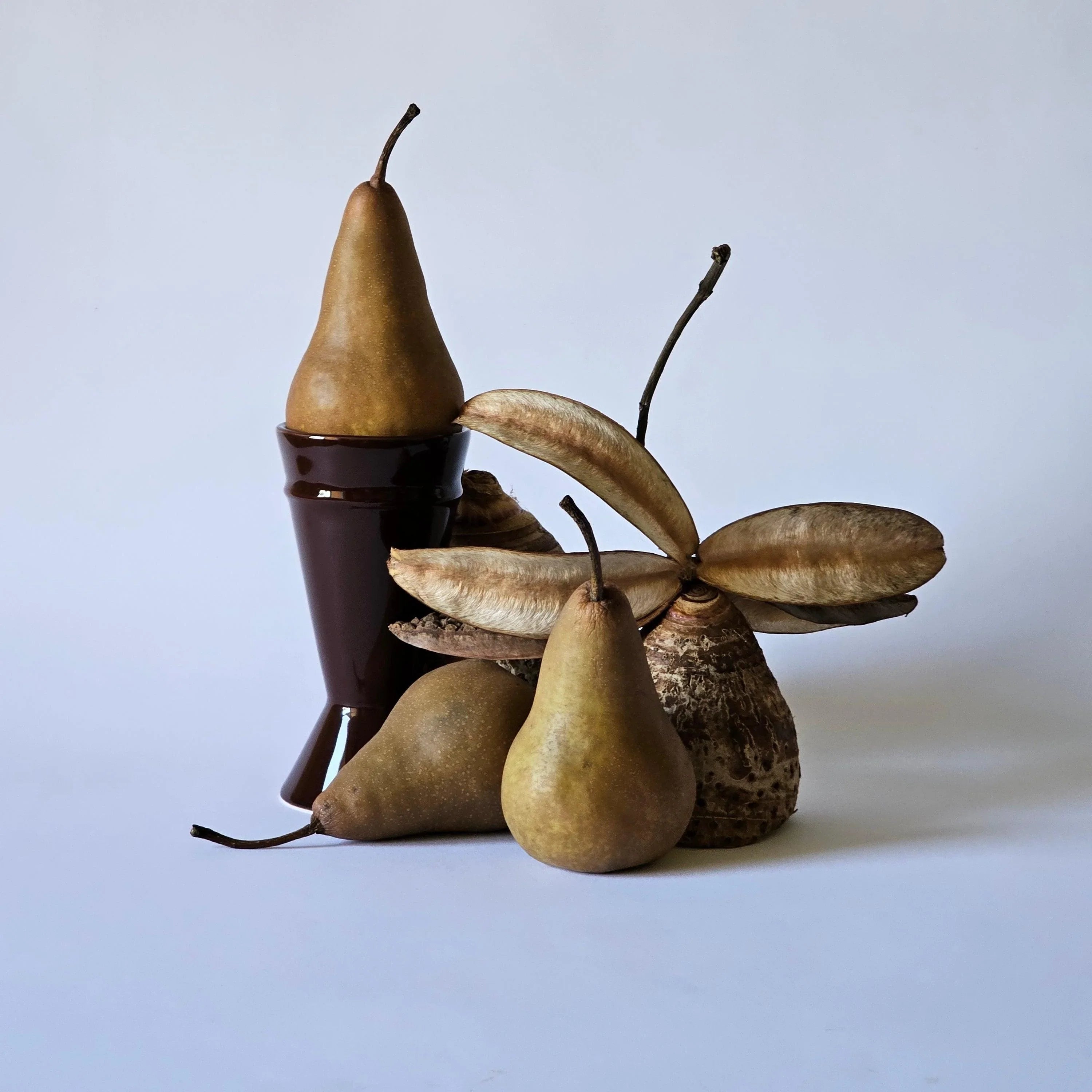 A chocolate brown Mazagran coffee cup with a unique design, accompanied by pears and a coffee bean, against a white background.