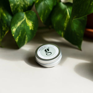 Small cylindrical container with a green leaf design on a light surface with plants in the background