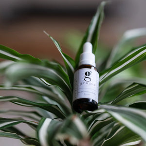 Bottle of serum on a potted plant with a blurred background