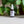 Bottle of 'grums' serum with a dropper on a white surface with green leaves in the background